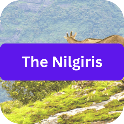 Nilgiris  - Pincode TL