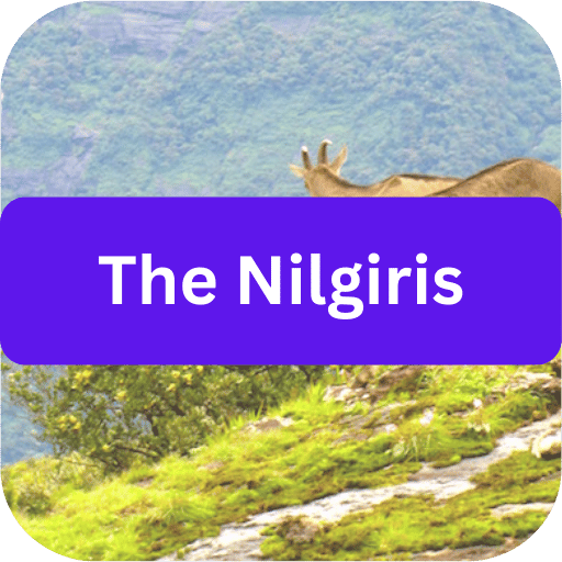 Nilgiris  - Pincode TL