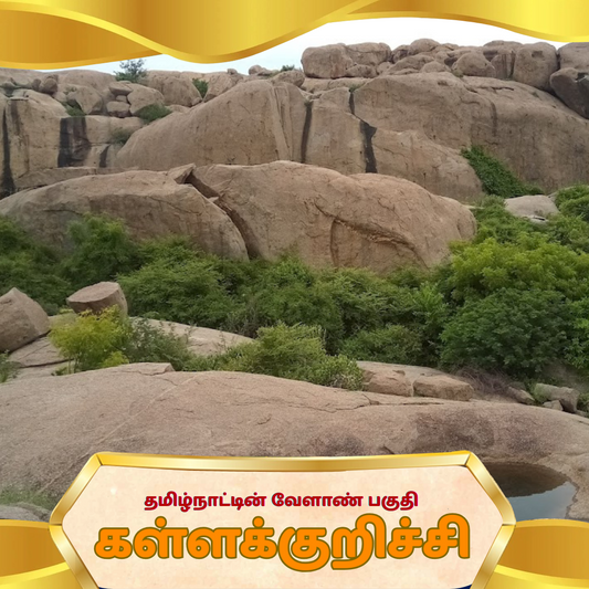 Franchise Kallakurichi