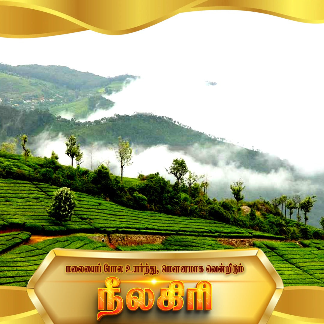 Franchise Nilgiris