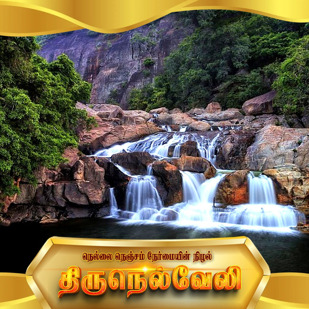 Franchise Tirunelveli Phase 1